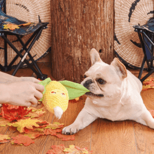 Monsieur Blé d'Inde