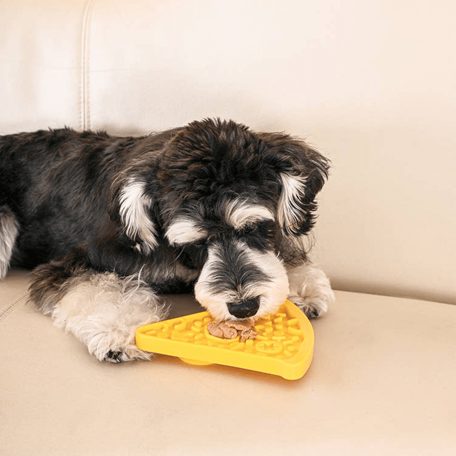 Tapis à lécher - Pizza