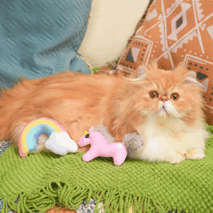 Licorne et arc-en-ciel