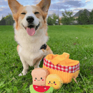 Panier de pique-nique