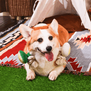 Toast, œuf et avocat