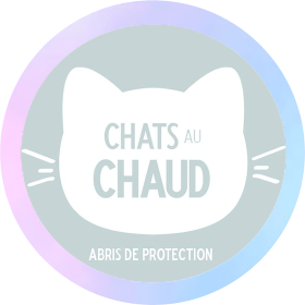 chats-au-chaud-partenaires (1)